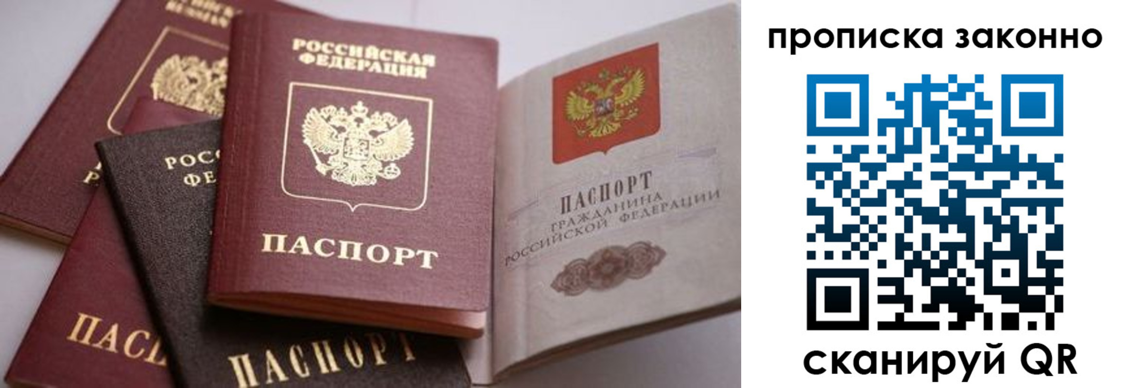 временная регистрация в Александровске
