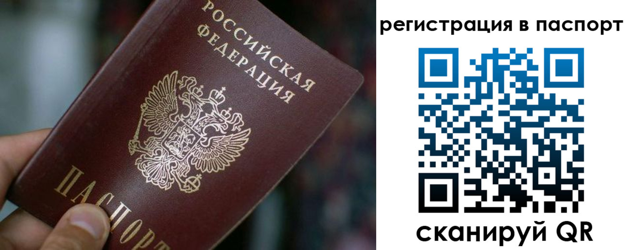 временная регистрация недорого в Александровске